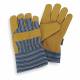 Cold Protection Gloves XL Yellow/Blue PR